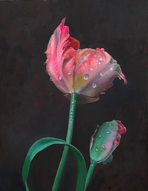 Ginny Page 2023 - Rembrandt Tulips - 46 x 31cm - Oil on Panel